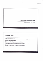 employment Law all class ppt..pdf